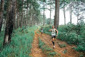 BIB: 
                            <button type="button" onclick="openModal(25692994)" class="btn btn-primary btn-sm float-right btn-popup" data-toggle="modal" data-target=".modal-high-quality">
                        <i class="fas fa-shopping-cart"></i> Add to Cart
                    </button>
                                            <button type="button" onclick="isThisMe(25692994, true)" class="btn btn-success btn-sm float-right btn-popup btn-isme hidden" data-toggle="tooltip" data-placement="bottom" title="นี่คือรูปของคุณใช่ไหม คลิกที่นี่เพื่อเอาเข้าอัลบั้ม">
                        <i class="fas fa-plus"></i> Add to album
                    </button>
                    <button type="button" onclick="isThisMe(25692994, false)" class="btn btn-warning btn-sm float-right btn-popup btn-isnotme hidden">
                        <i class="fas fa-ban"></i> Remove from album
                    </button>